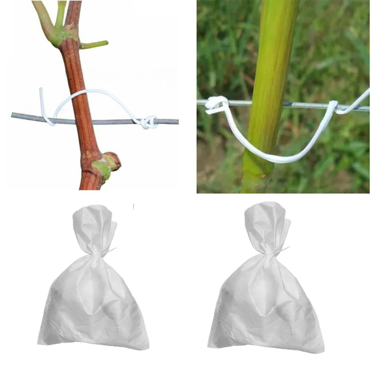 White plastic twist tie securing a plant stem to a support wire, multiple ties