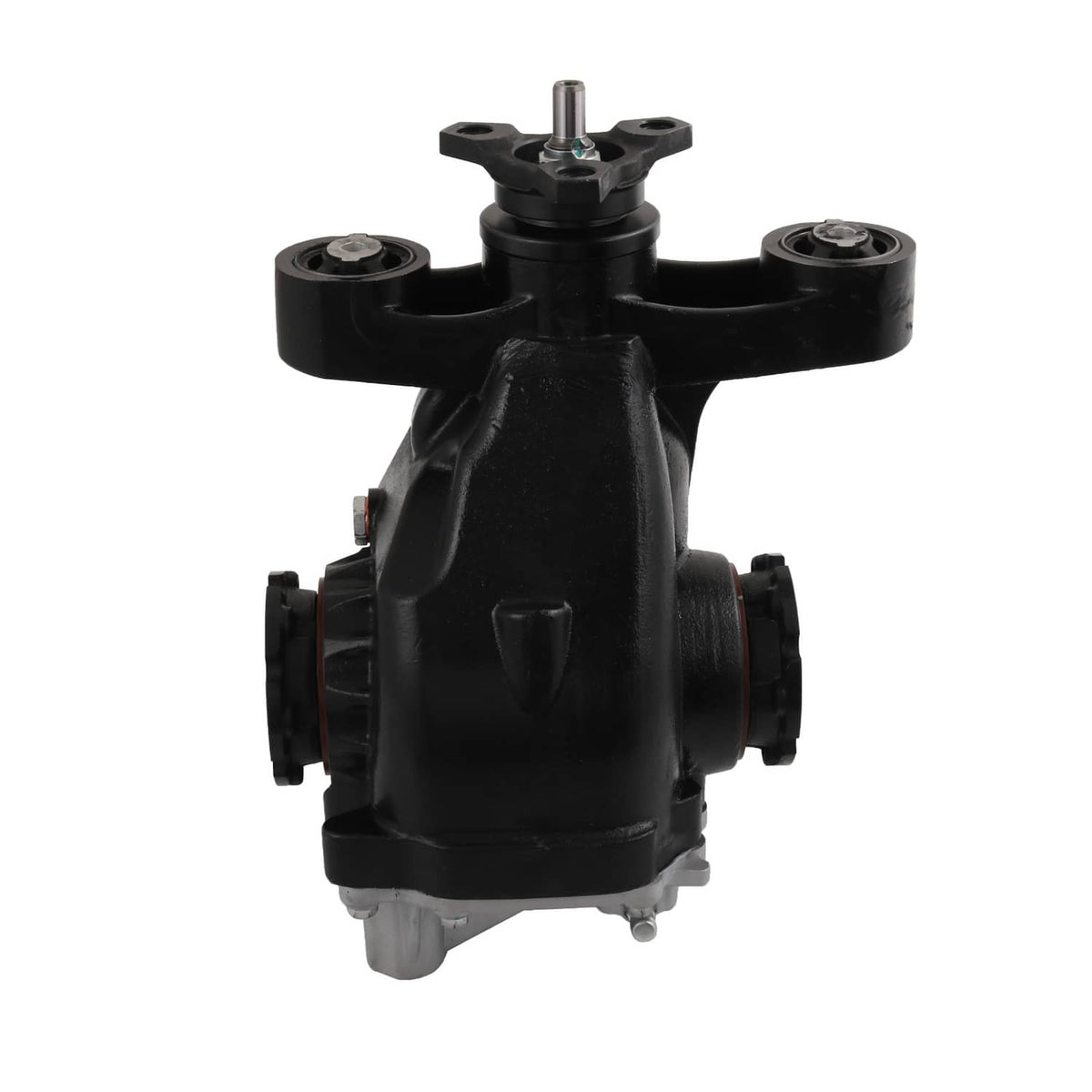 Rear differential carrier assembly, black housing with central cap and side mounting points