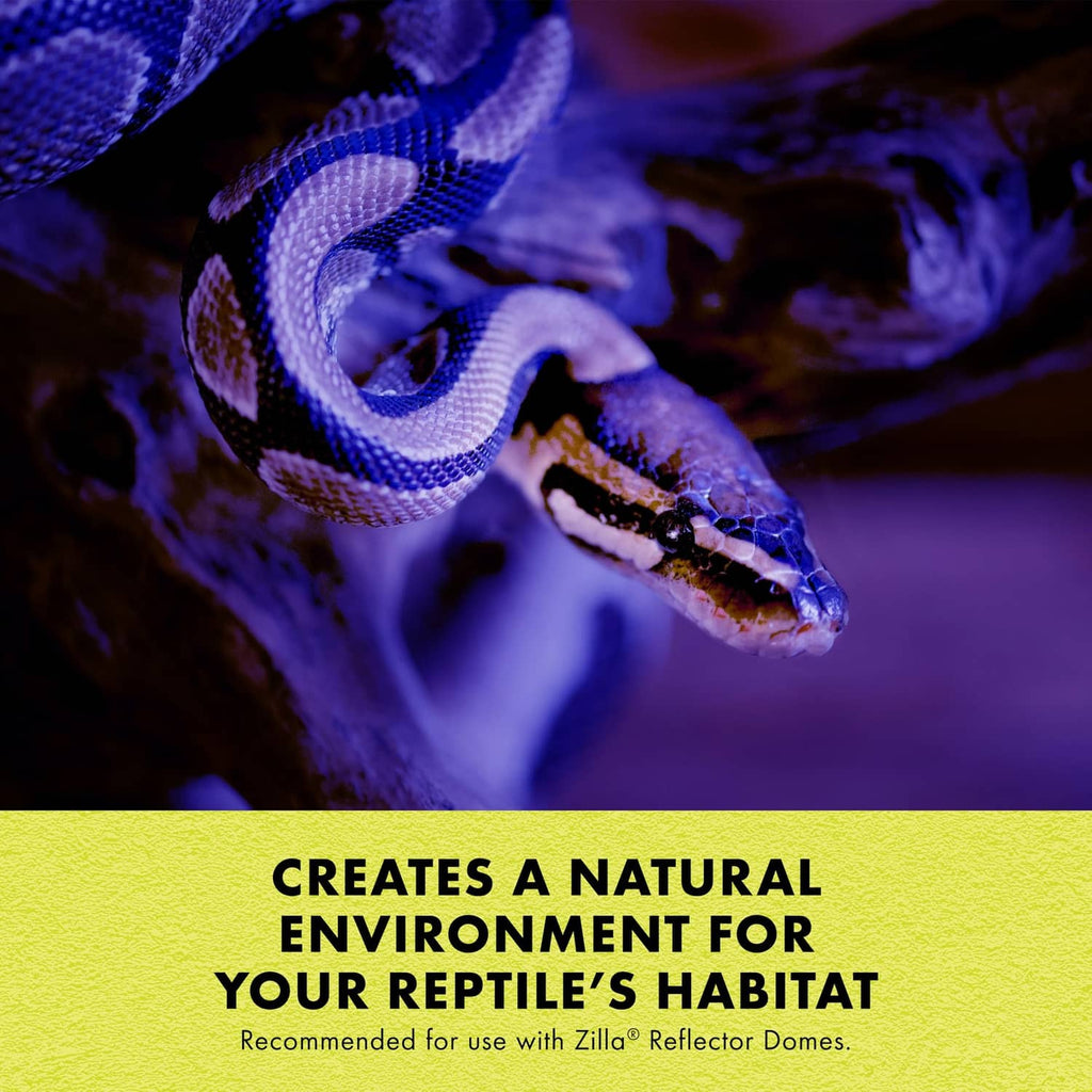 Incandescent heat bulb creates a natural reptile habitat shown with a snake