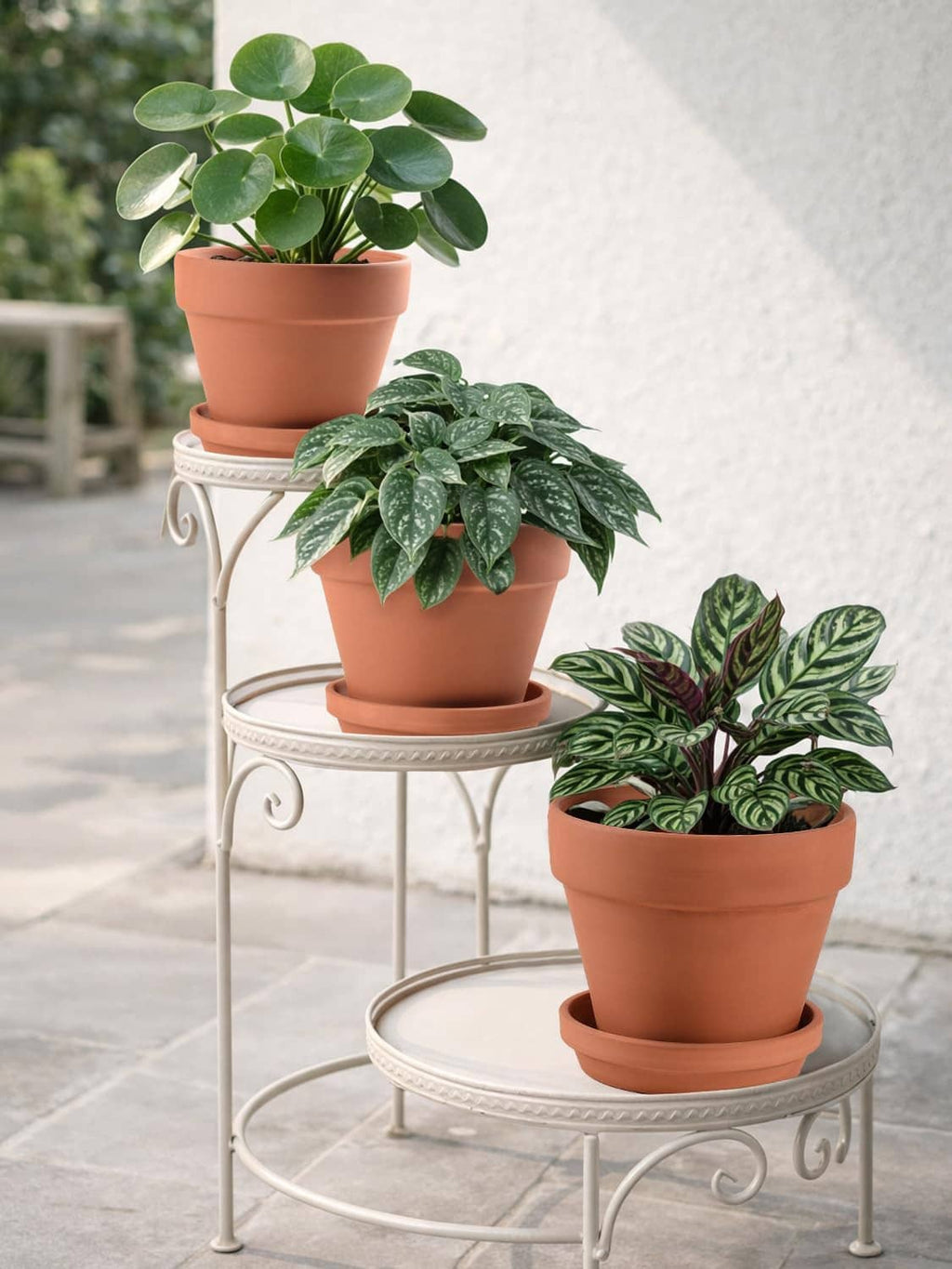 Terracotta ceramic plant pots set with saucers, three planters on metal plant stand