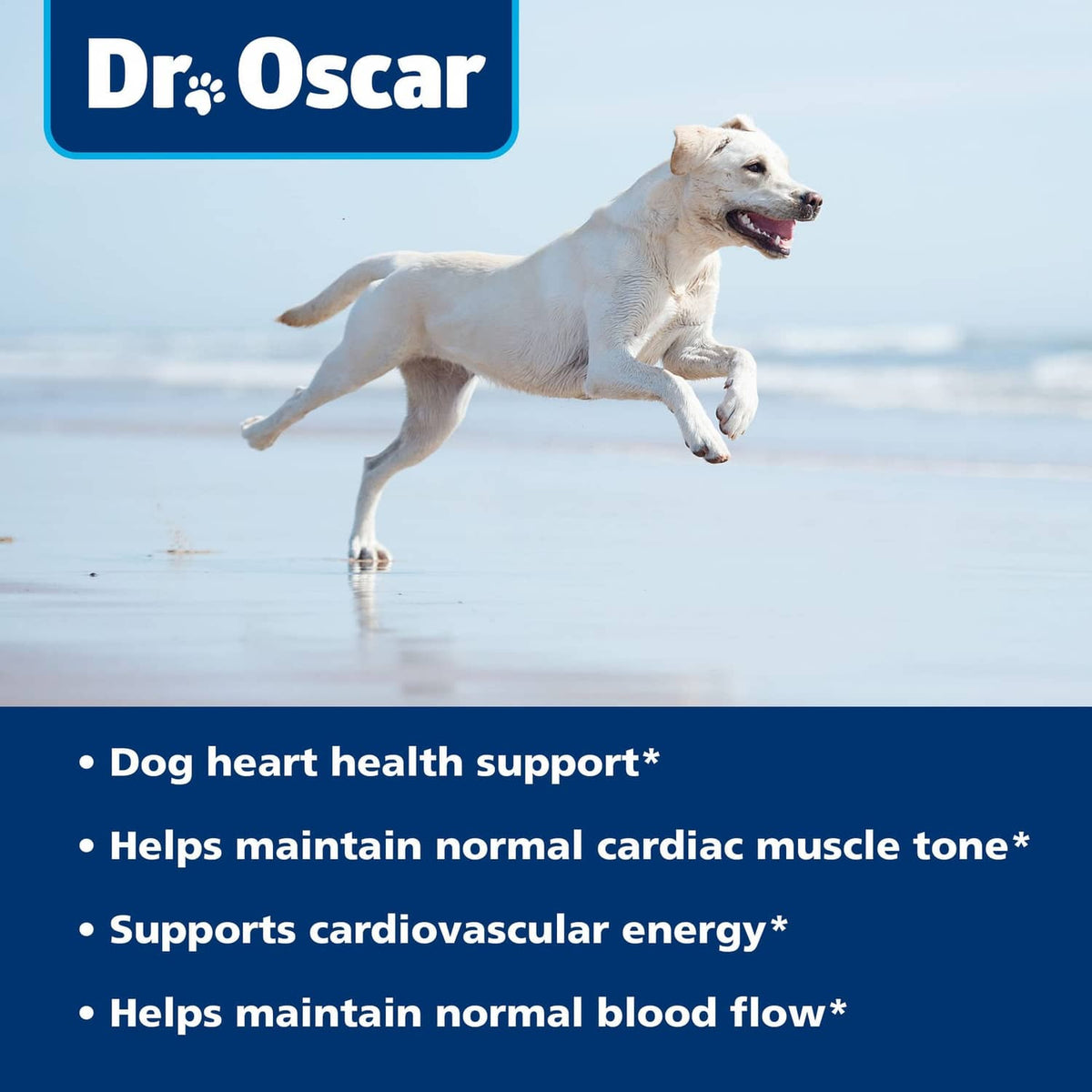 Dr. Oscar taurine for dogs label with running dog photo and benefit bullets
