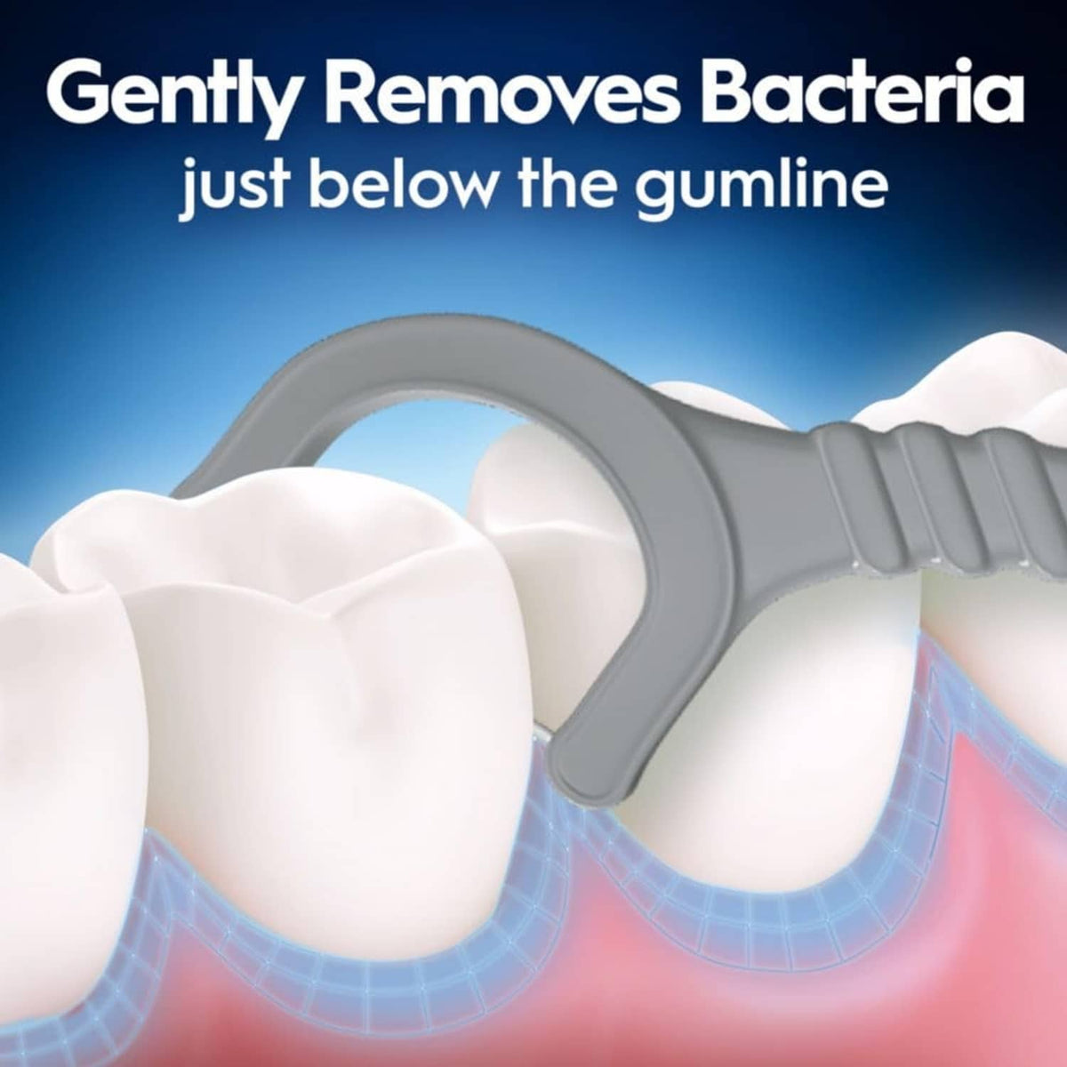 Grey floss pick cleaning just below the gumline on molded teeth