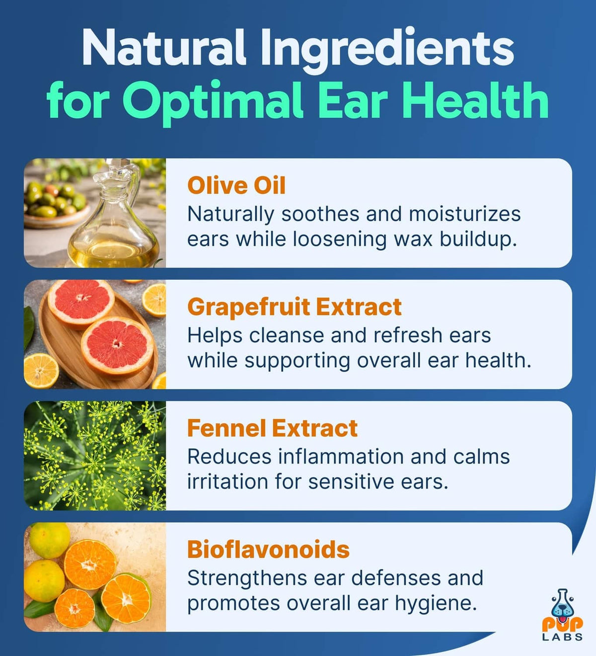 Natural ingredients infographic for dog ear health with dropper and bottle icon