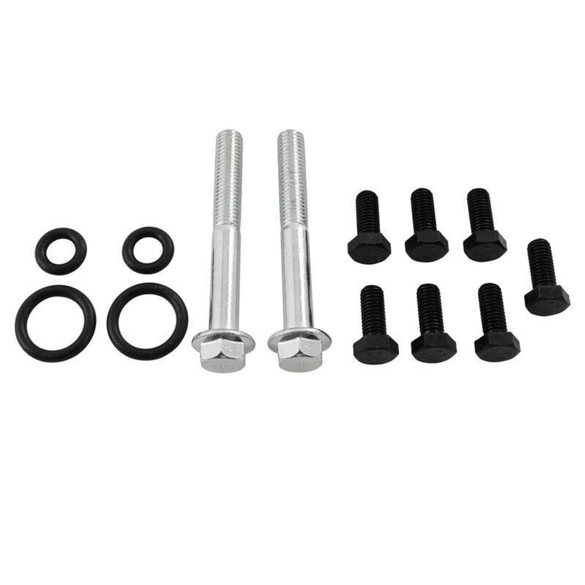 Turbo mounting bolts and Viton-style seal rings set