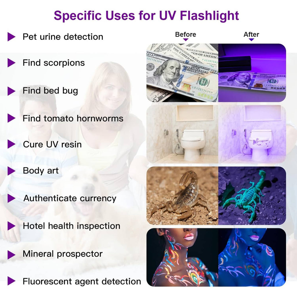 UV flashlight uses infographic showing pet urine, bed bugs, resin, and currency