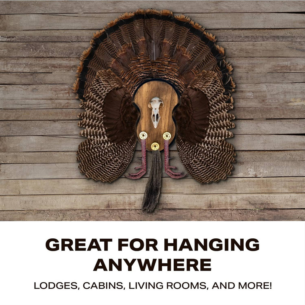 Turkey mounting plaque with feathered fan, turkey skull, and hanging-ready design