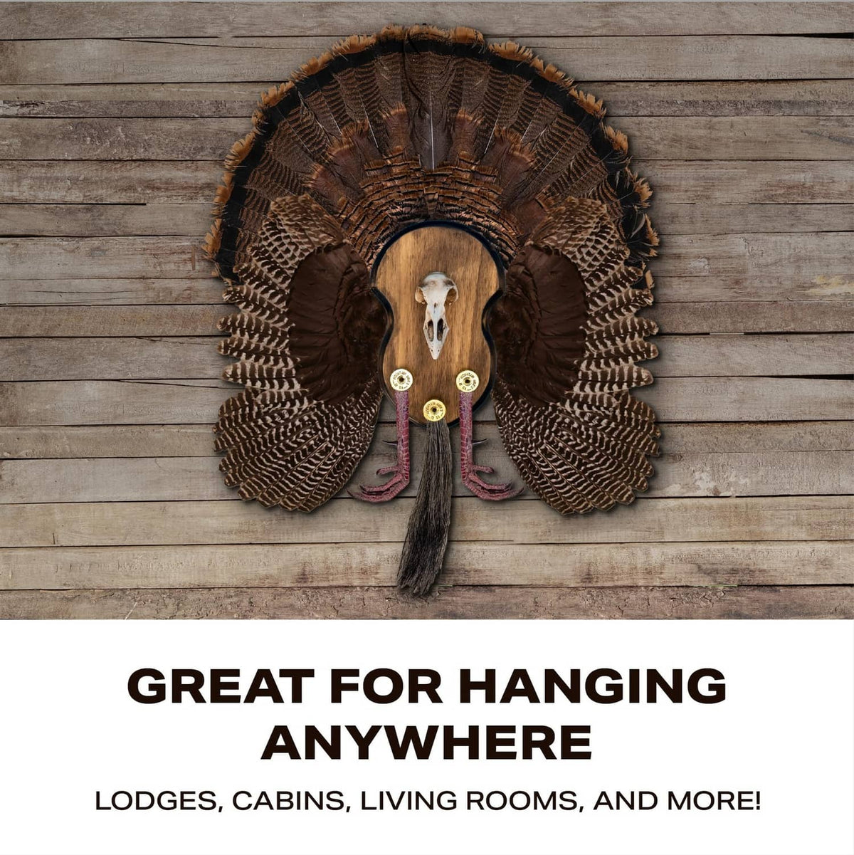Turkey mounting plaque with feathered fan, turkey skull, and hanging-ready design