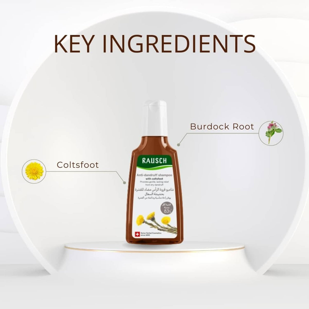 Anti-dandruff shampoo key ingredients diagram with RAUSCH bottle, coltsfoot and burdock root