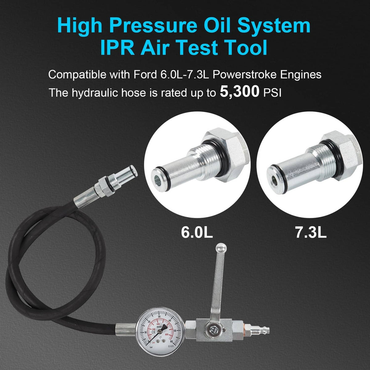 High pressure IPR air test tool kit with gauge, hose, and two connector fittings