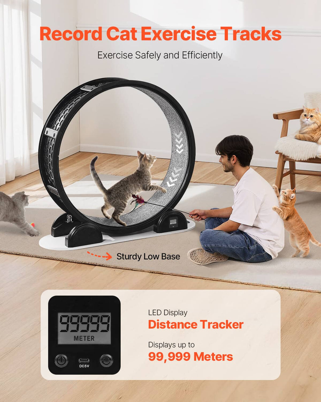 Cat exercise wheel with built-in display and low-profile stability base