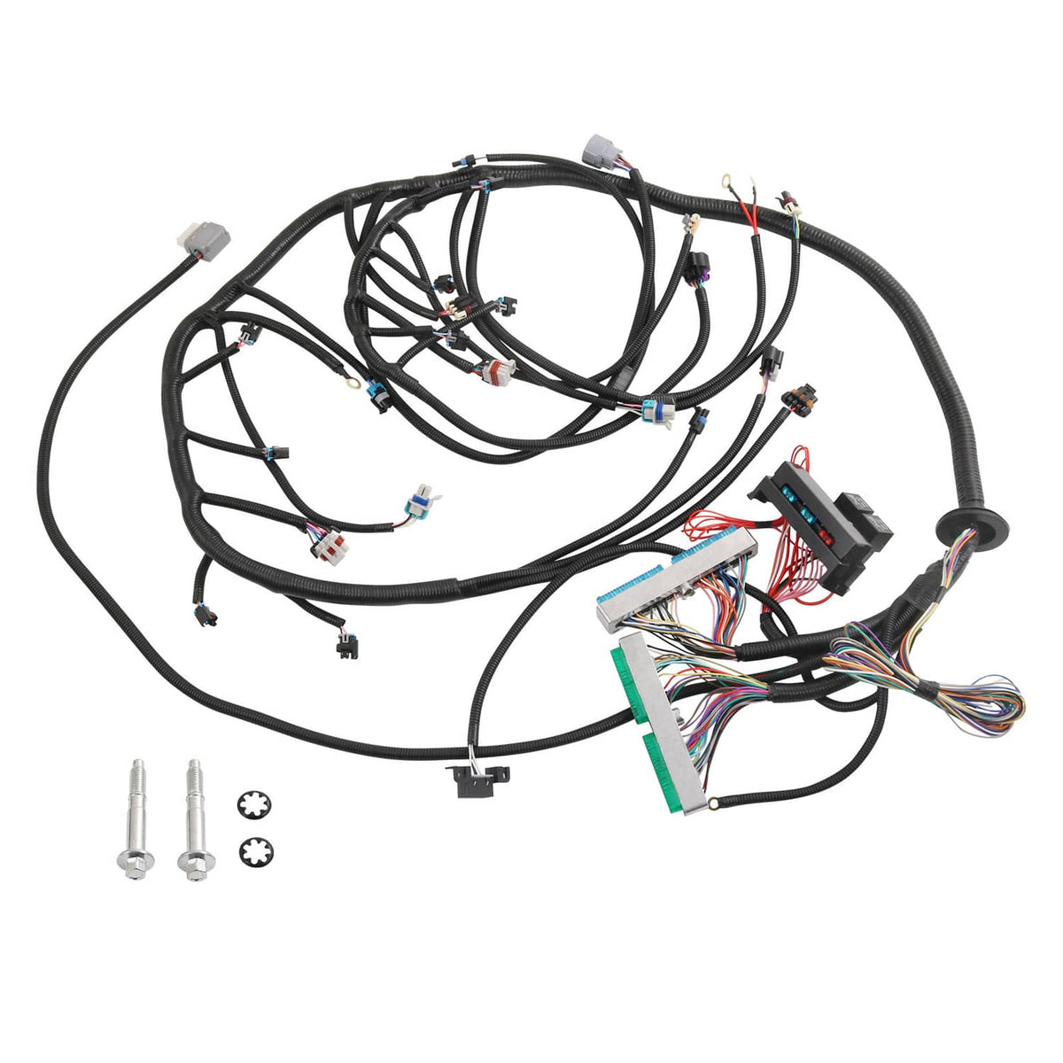 Standalone engine wiring harness with multiple connectors and colored terminal plugs