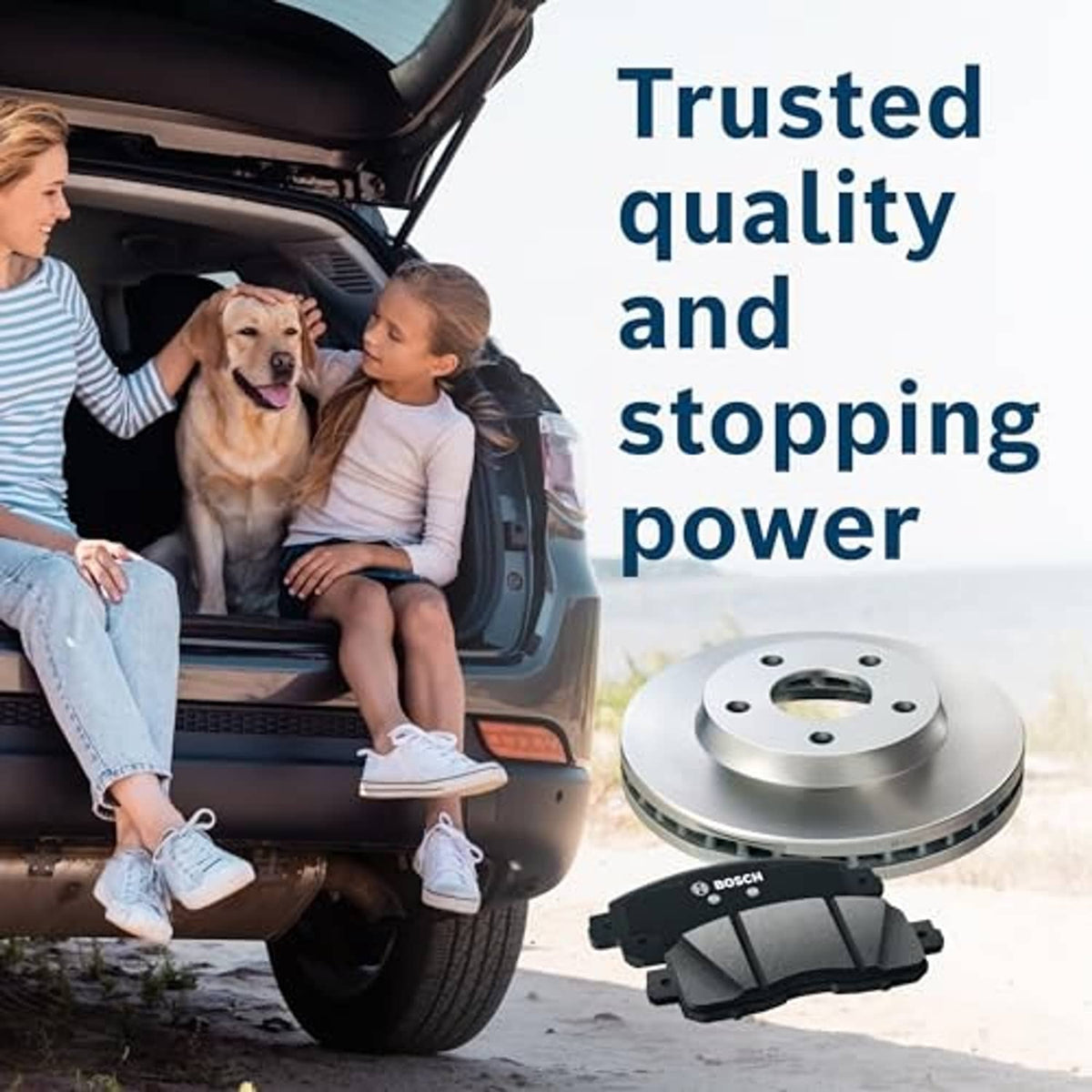 Disc brake rotor and brake pads set with BOSCH label, on vehicle