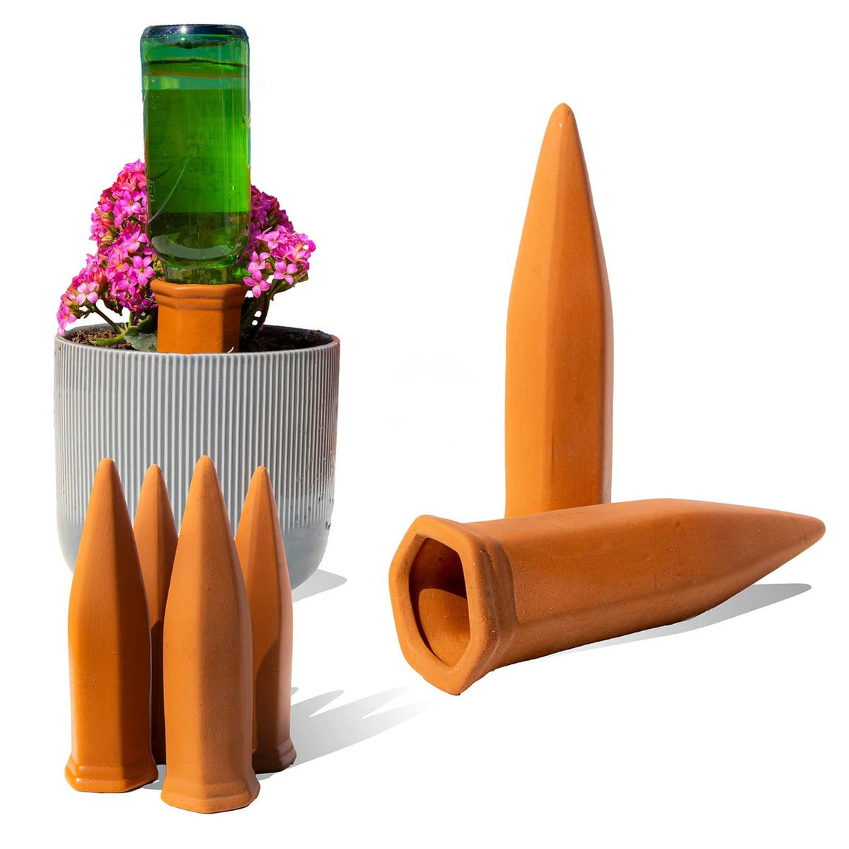 Self-watering spike set with green bottle and terra-cotta spikes in a planter