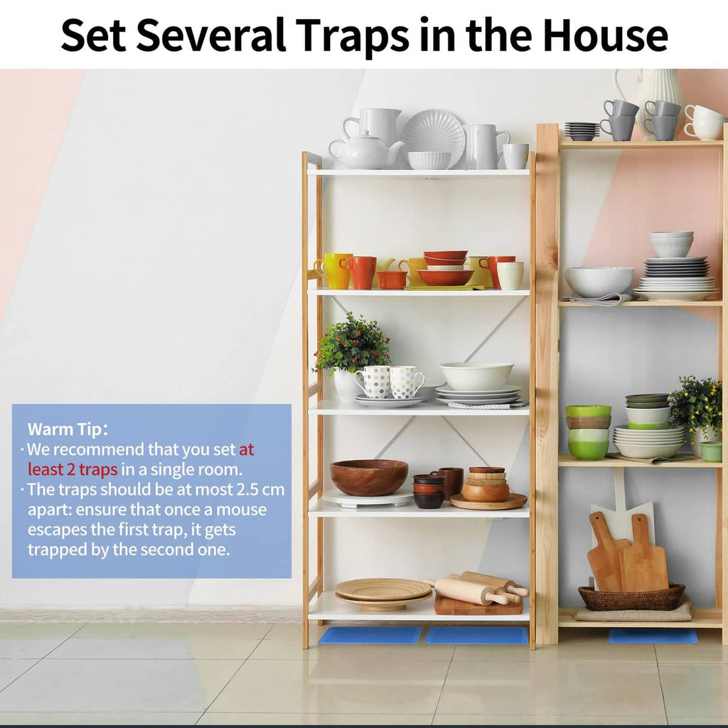 Black mouse glue traps spaced on home floor under shelves and furniture sides