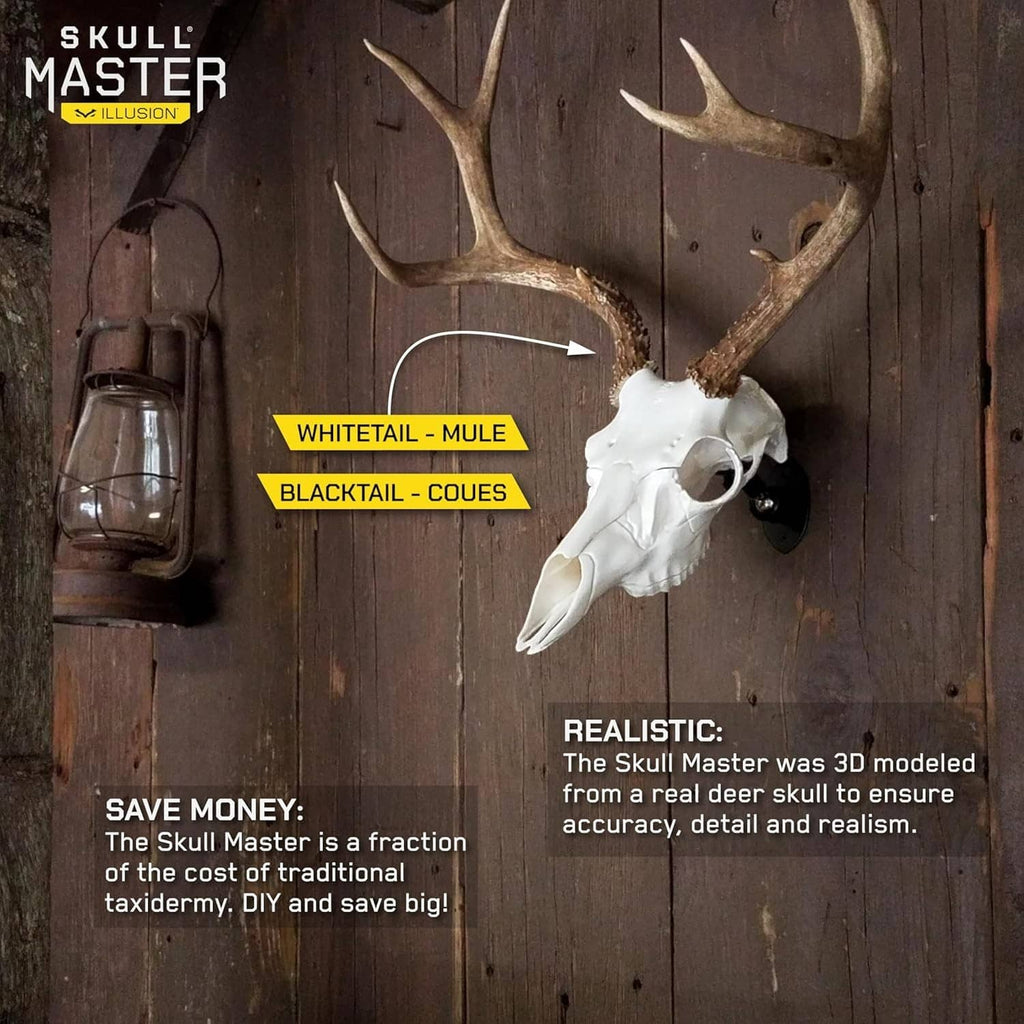 White skull with antlers mounted on wall-ready base
