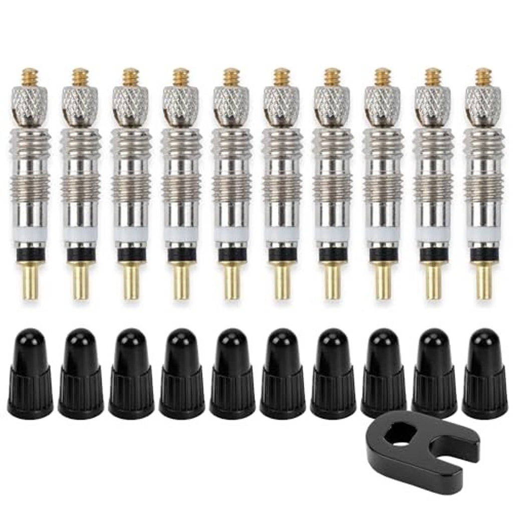 Row of metal Presta valve cores with black caps and black removal tool