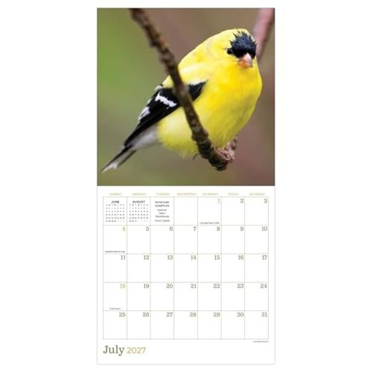 Backyard Birds 2027 mini calendar page for July 2027 with yellow bird perched on branch