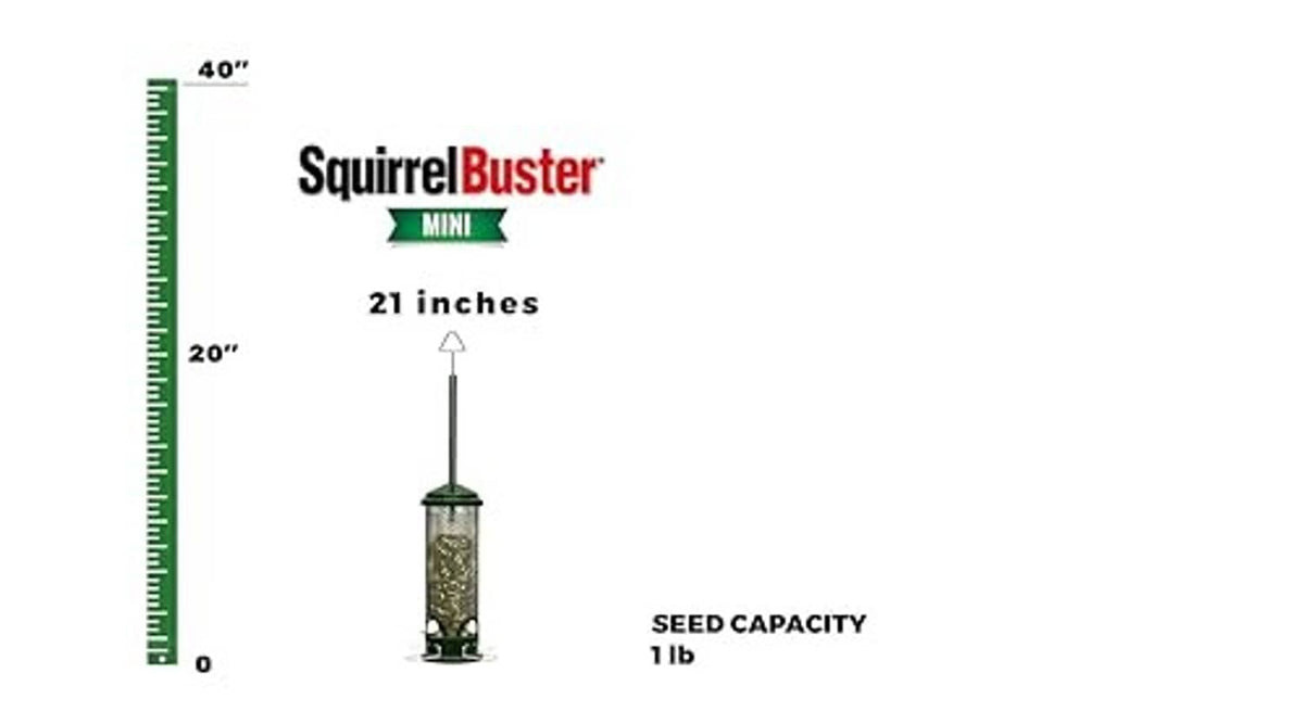 Mini squirrel-proof bird feeder with mesh cage cylinder, hanging rod, and metal perches