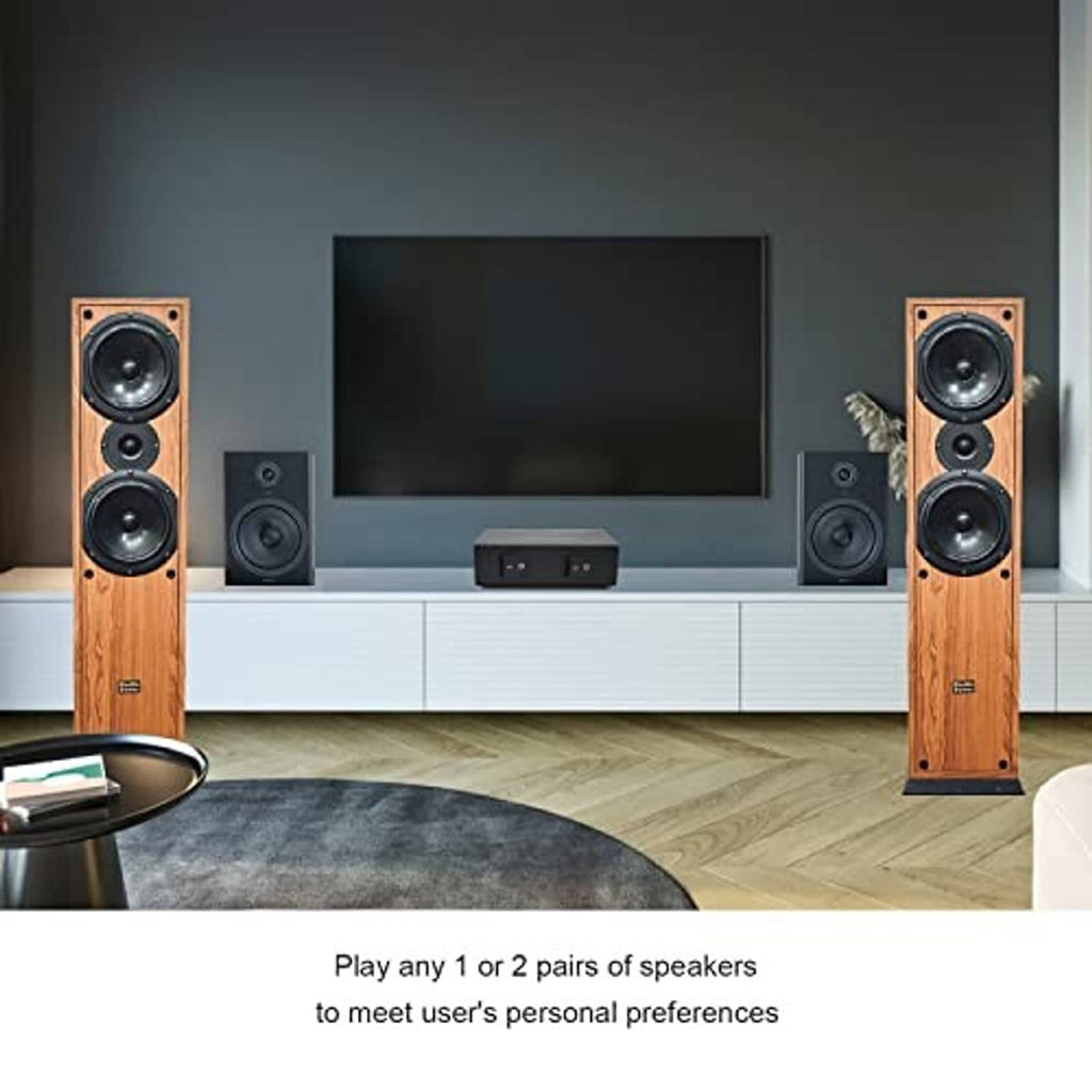 Compact black 2-way speaker control box on a media shelf