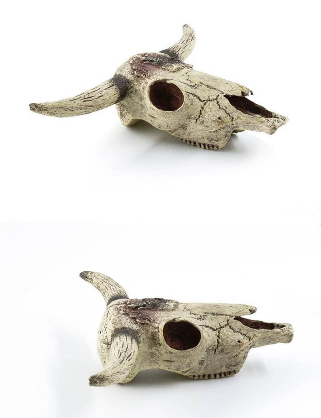Pair of aquarium skull ornaments shown from side angles, beige with dark speckling