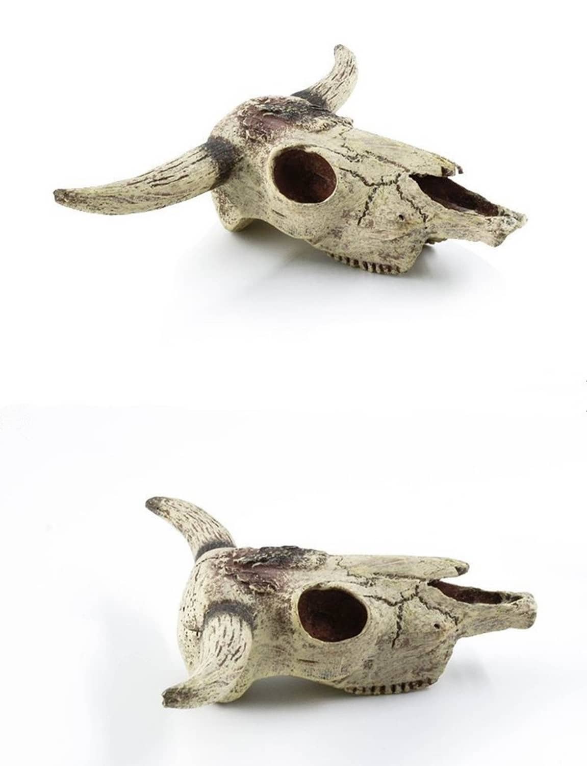 Pair of aquarium skull ornaments shown from side angles, beige with dark speckling