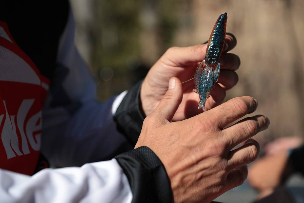Hand holding blue-green speckled soft plastic swimbait lure, curled tail