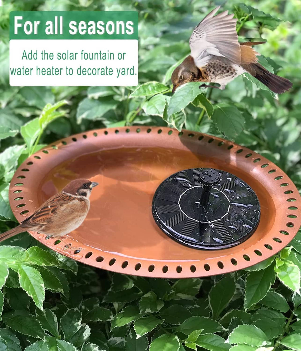 Brown solar bird bath bowl on leaves with water and a sparrow near a black panel.
