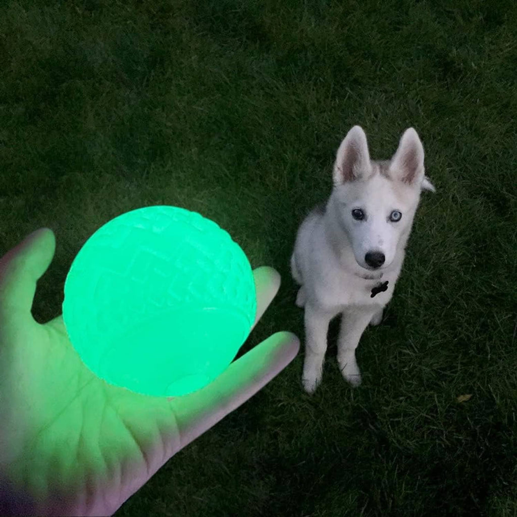Glowing mint-green dog toy ball held in a hand beside a standing dog.