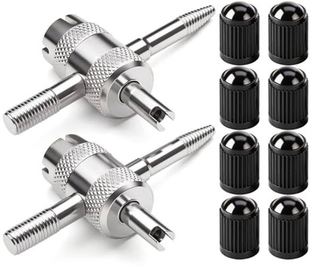 Tire valve core tool kit with two silver tools and eight black valve stem caps