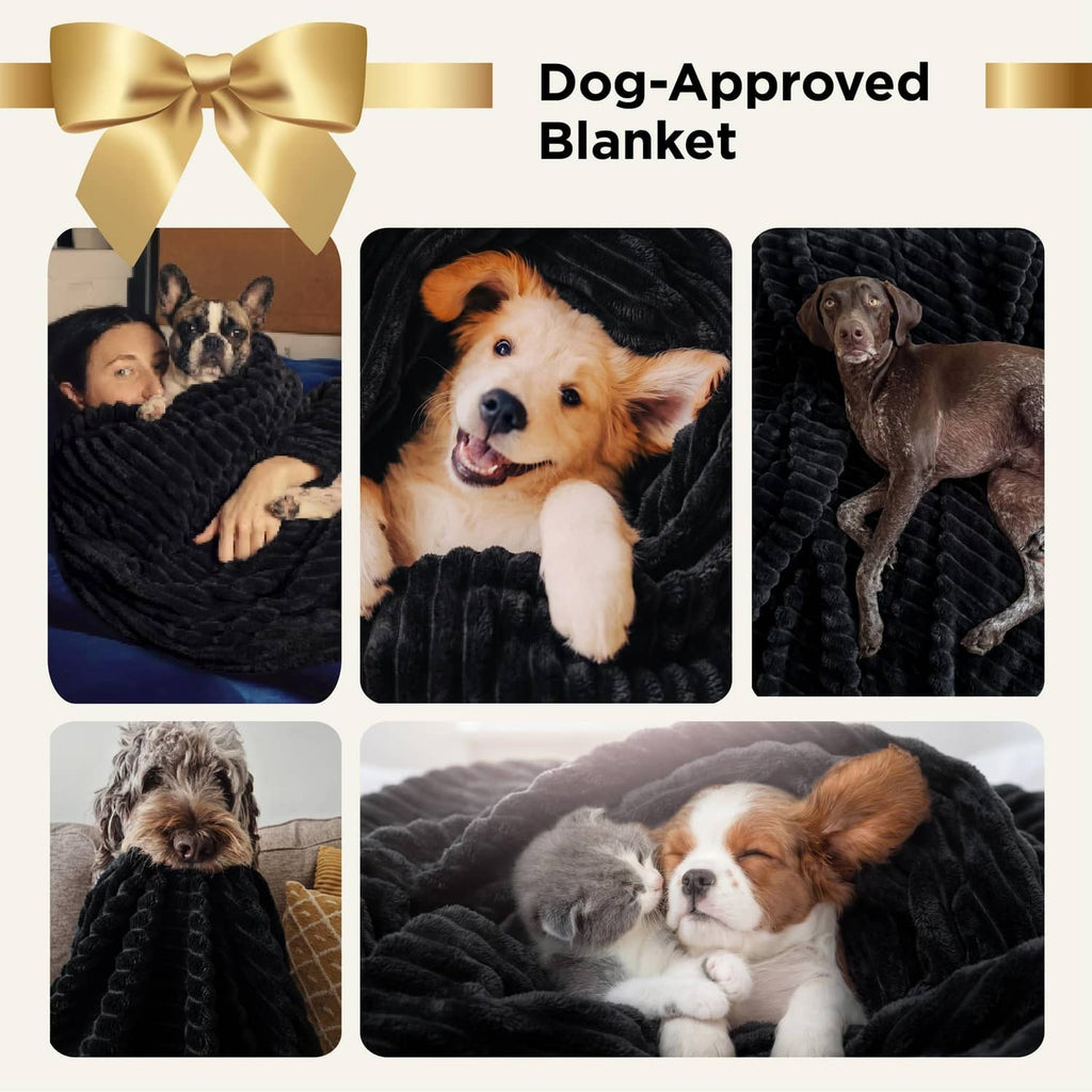 Black throw blanket with ribbon, featuring photos of dogs on the blanket