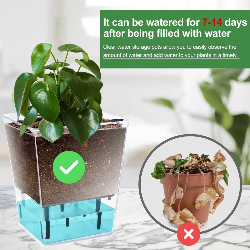 Self-watering plant pot with green leafy plant, clear outer sides, and water tray