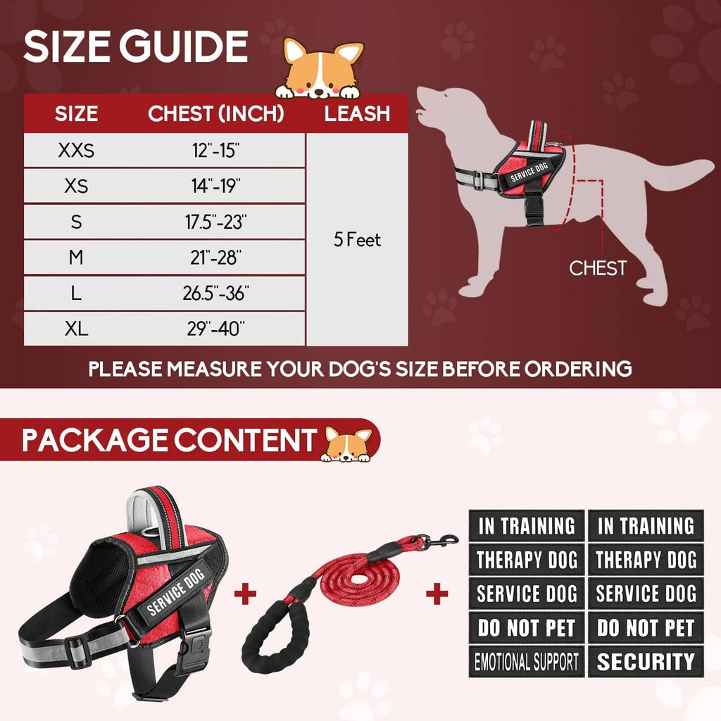 Service dog vest harness and red 5 ft leash set with patch and size guide