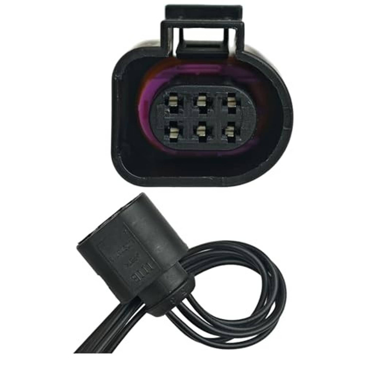 6-pin electrical connector pigtail with black case, purple seal ring, and attached wire harness.