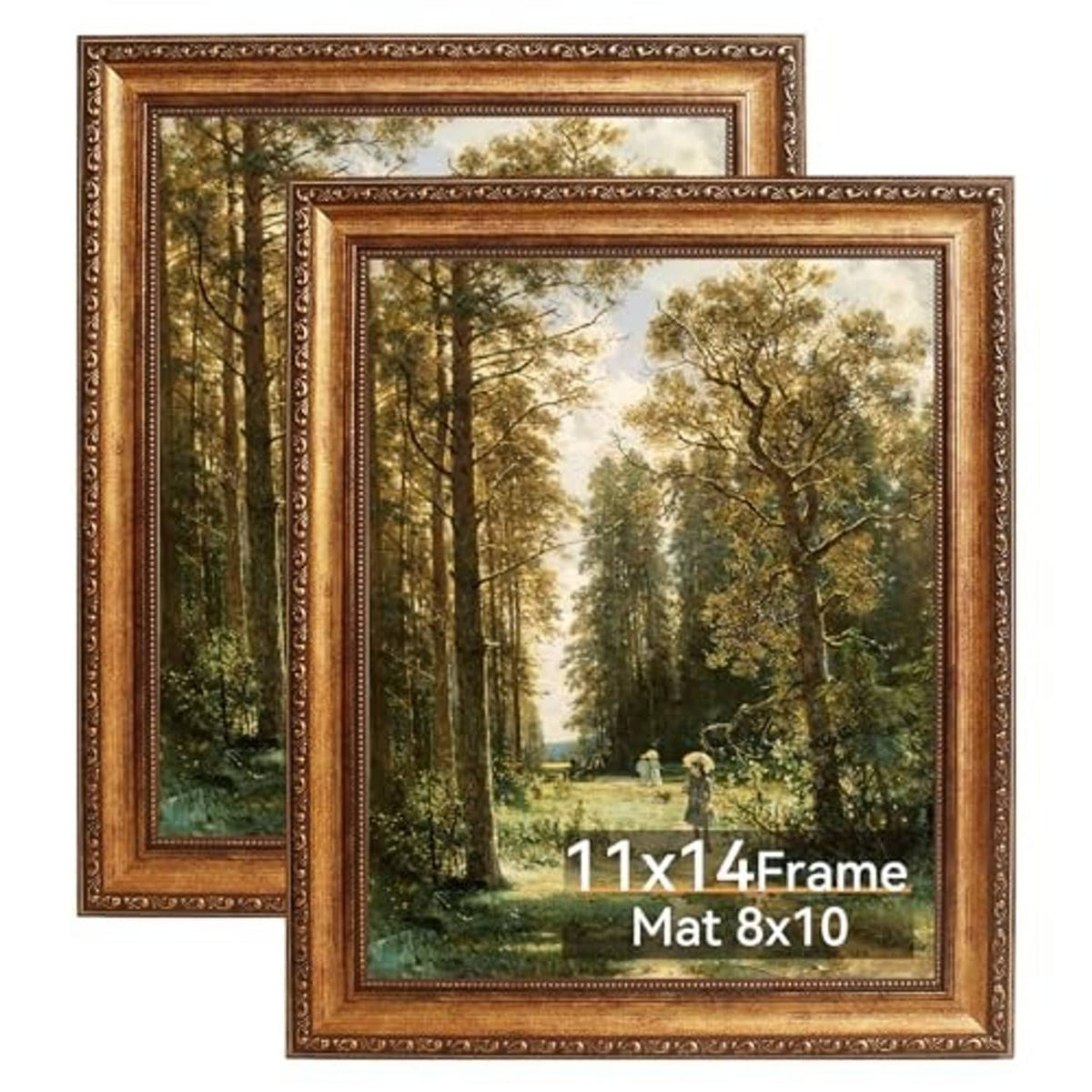 Ornate Victorian photo frame pair with warm gold border and decorative inner edge