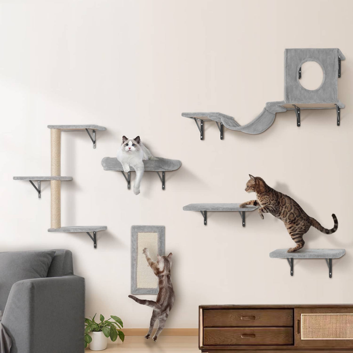 Wall-mounted cat shelf set with gray platforms, hammock, and step boards