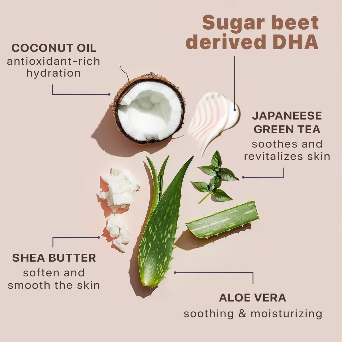 Self-tanner lotion ingredient graphic with aloe vera, shea butter, coconut oil