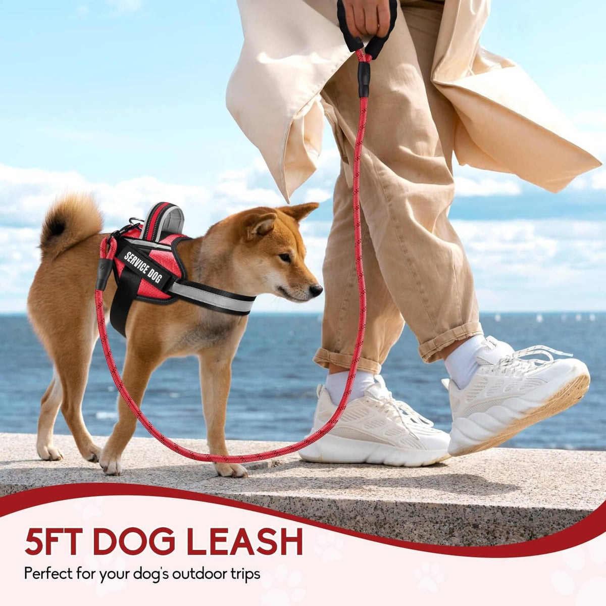 Service dog vest harness and red 5 ft leash with padded handle and secure clip