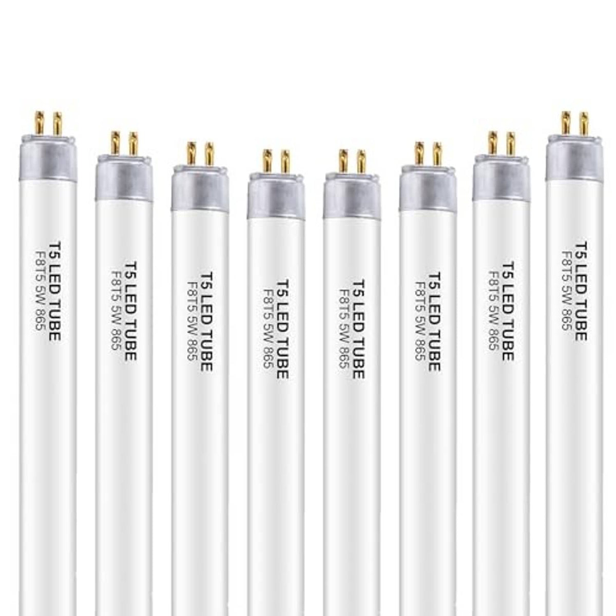 12-inch T5 LED tube bulbs, frosted white glass, gold pin bases, 6500K daylight