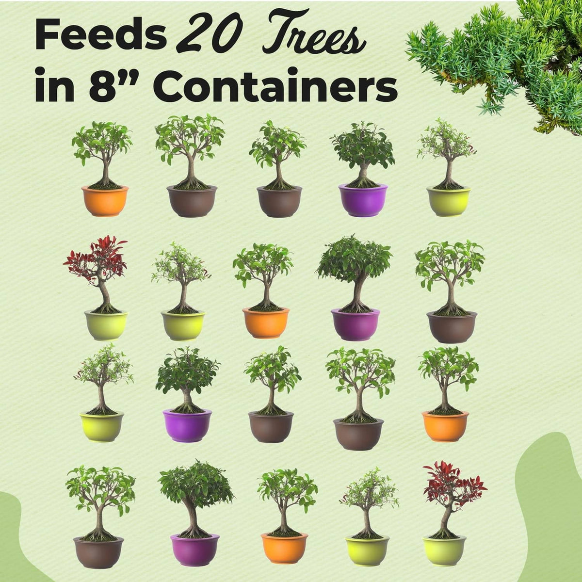 Bonsai fertilizer marketing graphic: feeds 20 trees in 8 inch containers