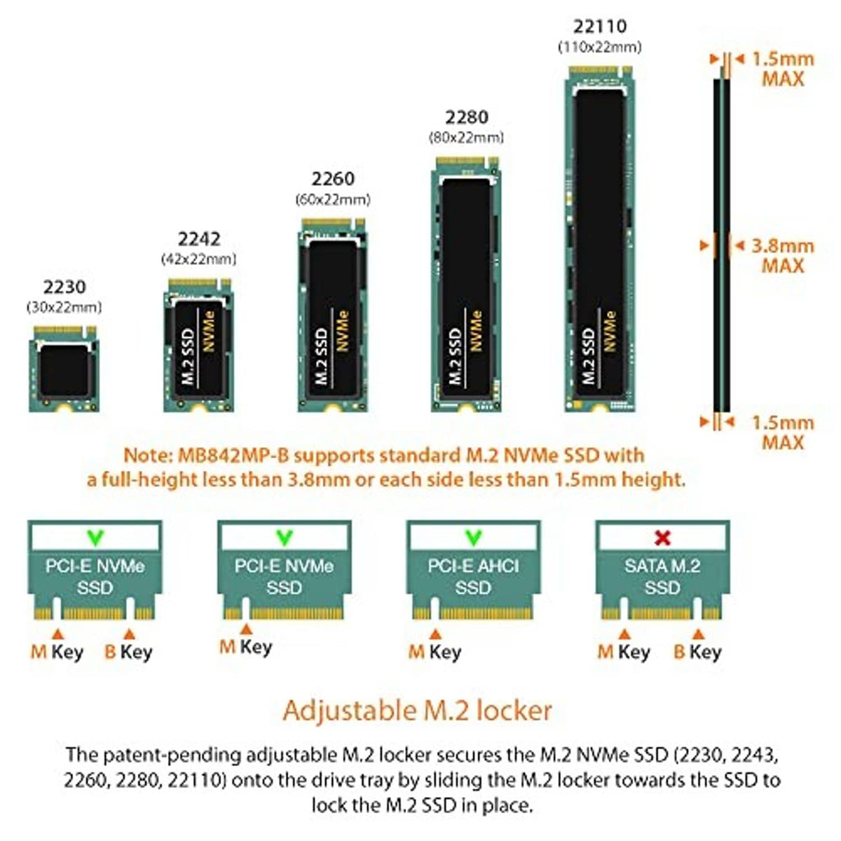 Dual M.2 NVMe adapter supporting various SSD lengths with adjustable locking plate.