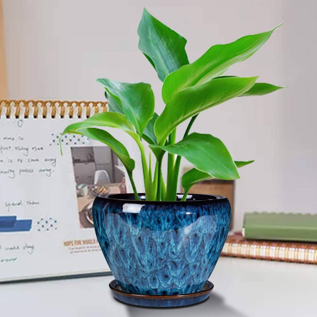 Blue glazed ceramic succulent planter pot with saucer, holding green plants