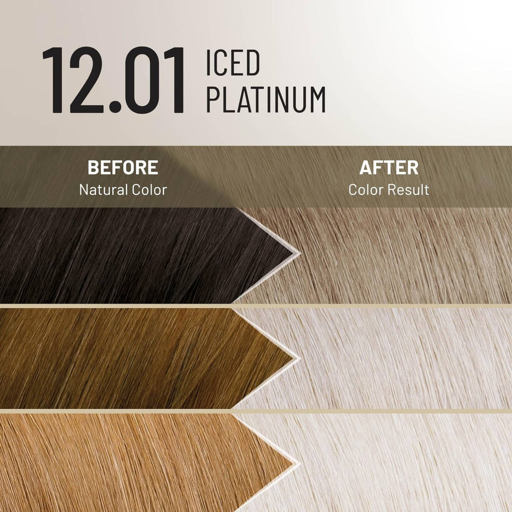 Hair color result chart for 12.01 Iced Platinum, before-to-after highlights