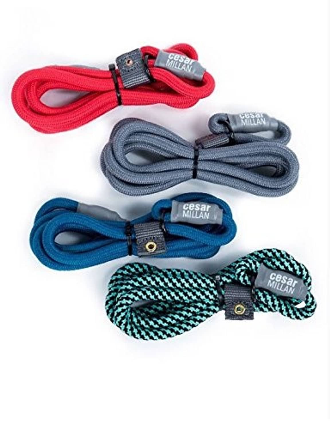 Braided slip lead set with tags: red, gray, teal, and green patterned slip collars.