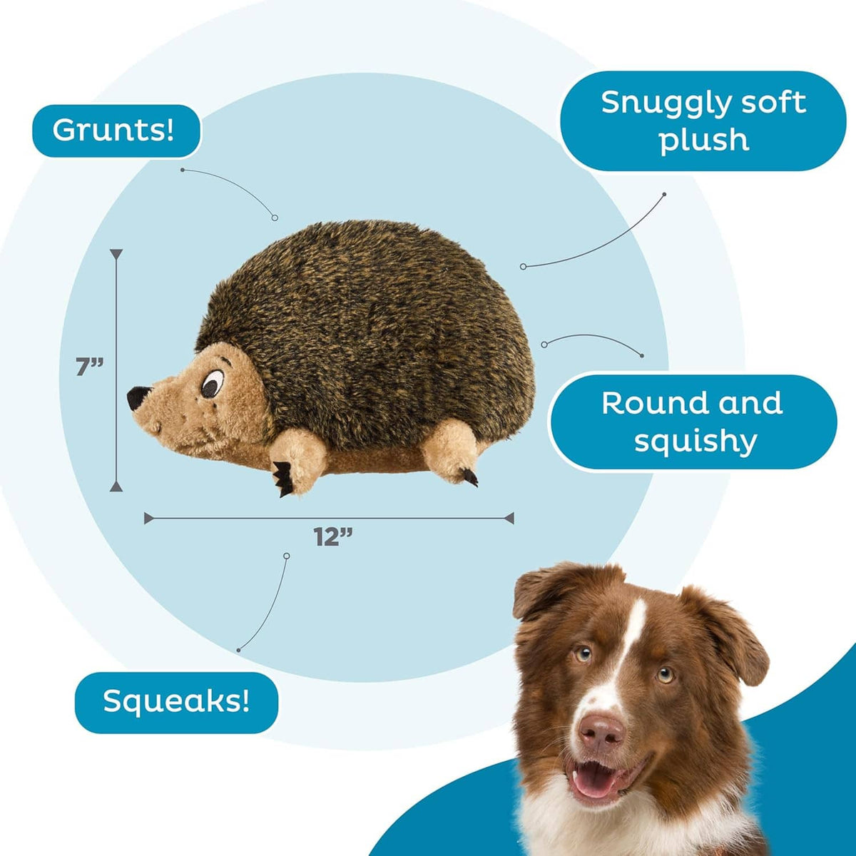 Round, squishy plush hedgehog dog toy with stitched snout and small legs