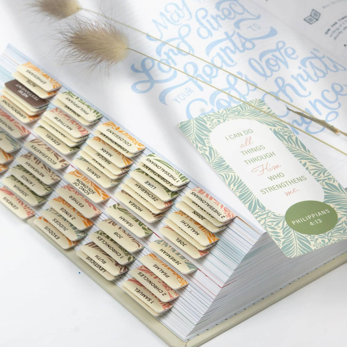 Open Bible with many laminated book tabs aligned across pages