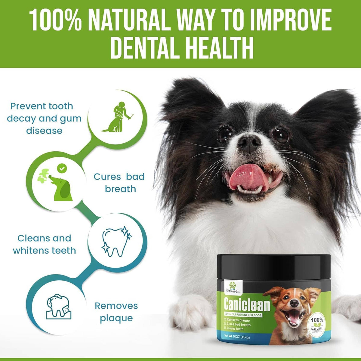 Black-and-white dog with a jar of Caniclean and dental health benefit icons