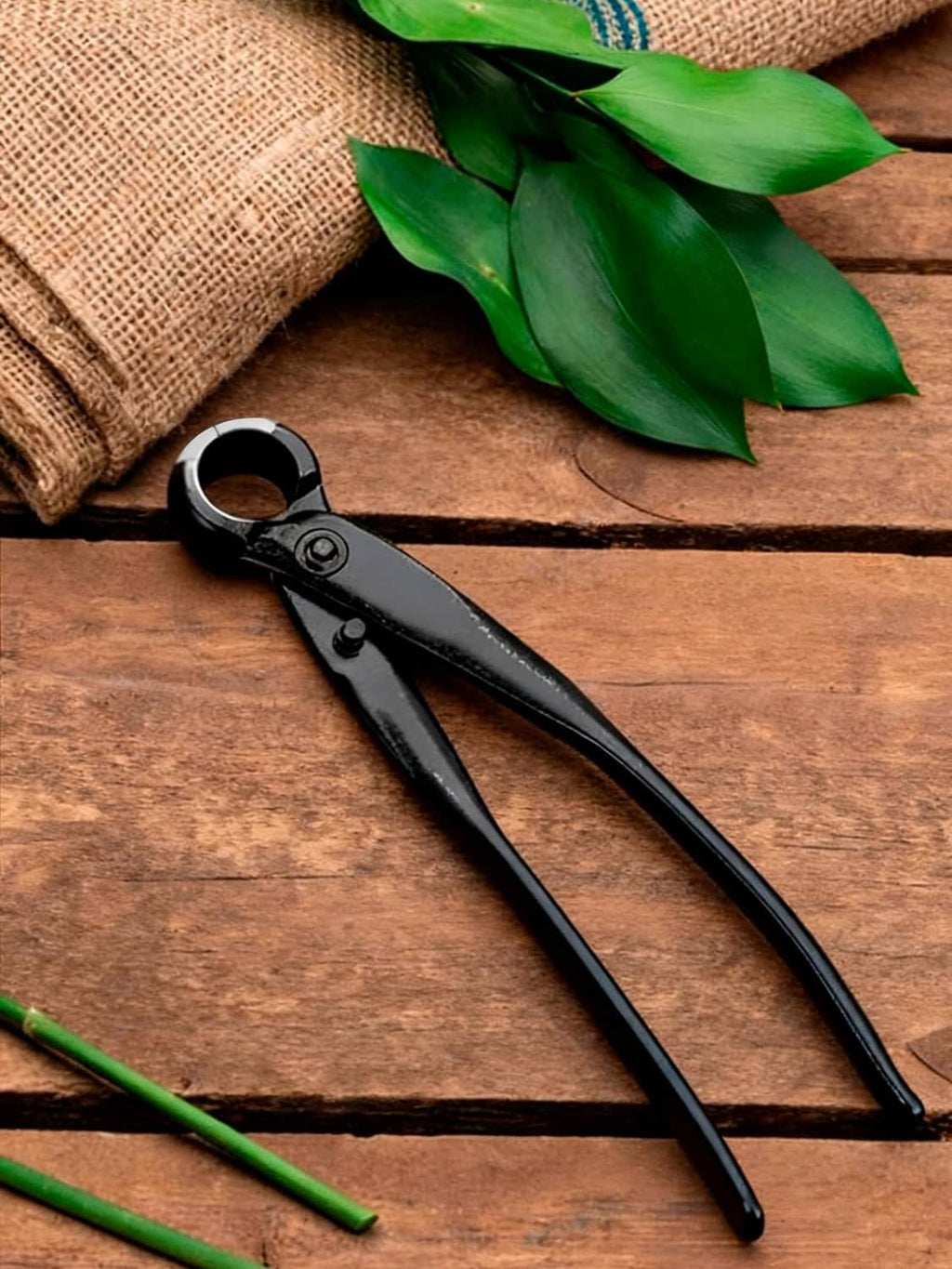 Bonsai concave cutter with black handles and round concave blade on wood