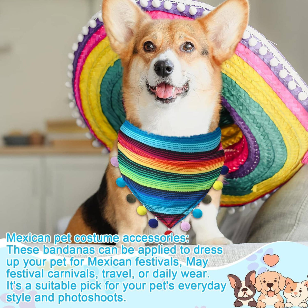 Dog wearing Mexican-style bandana with rainbow stripes and colorful pompom trim