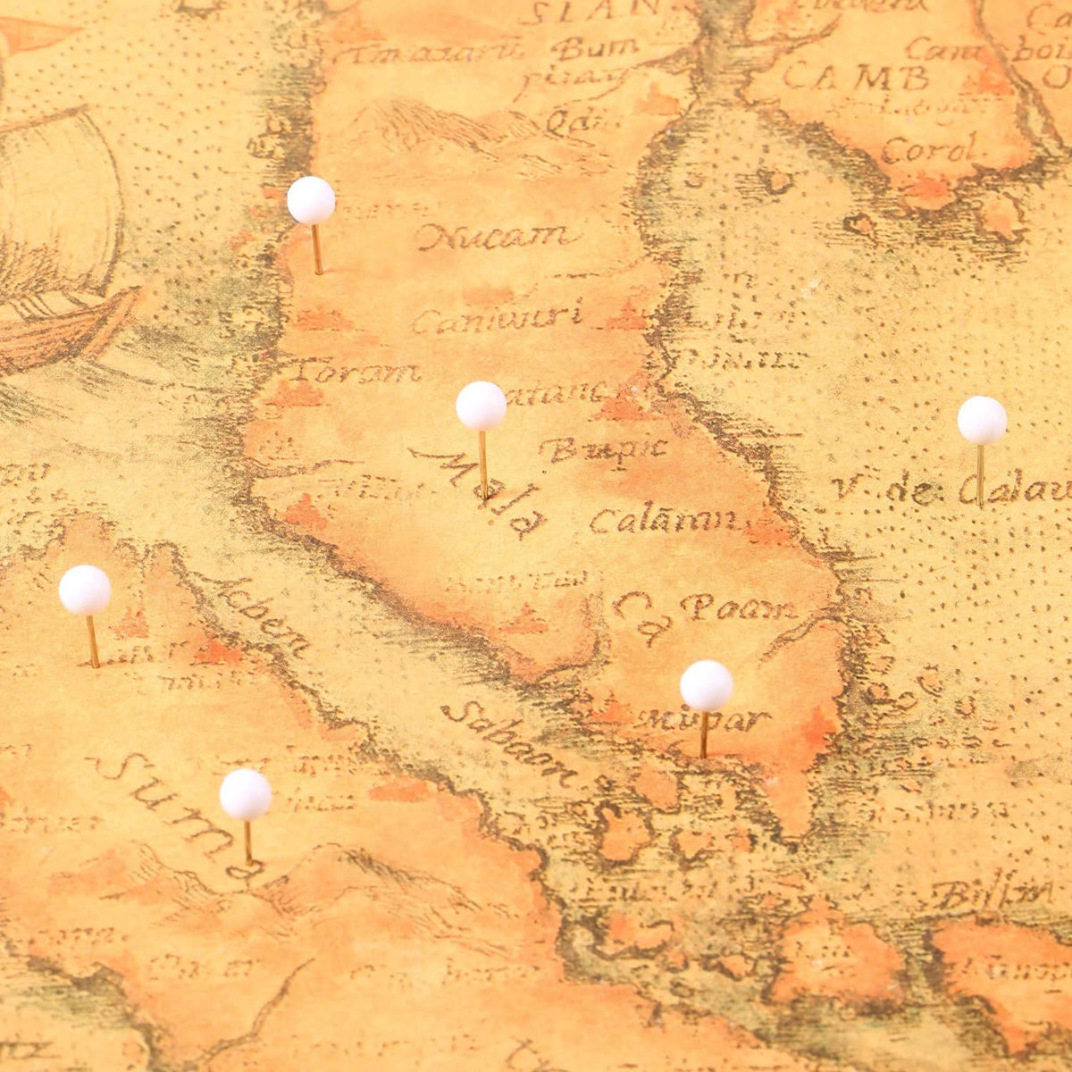 White push pins with round heads placed on a paper map