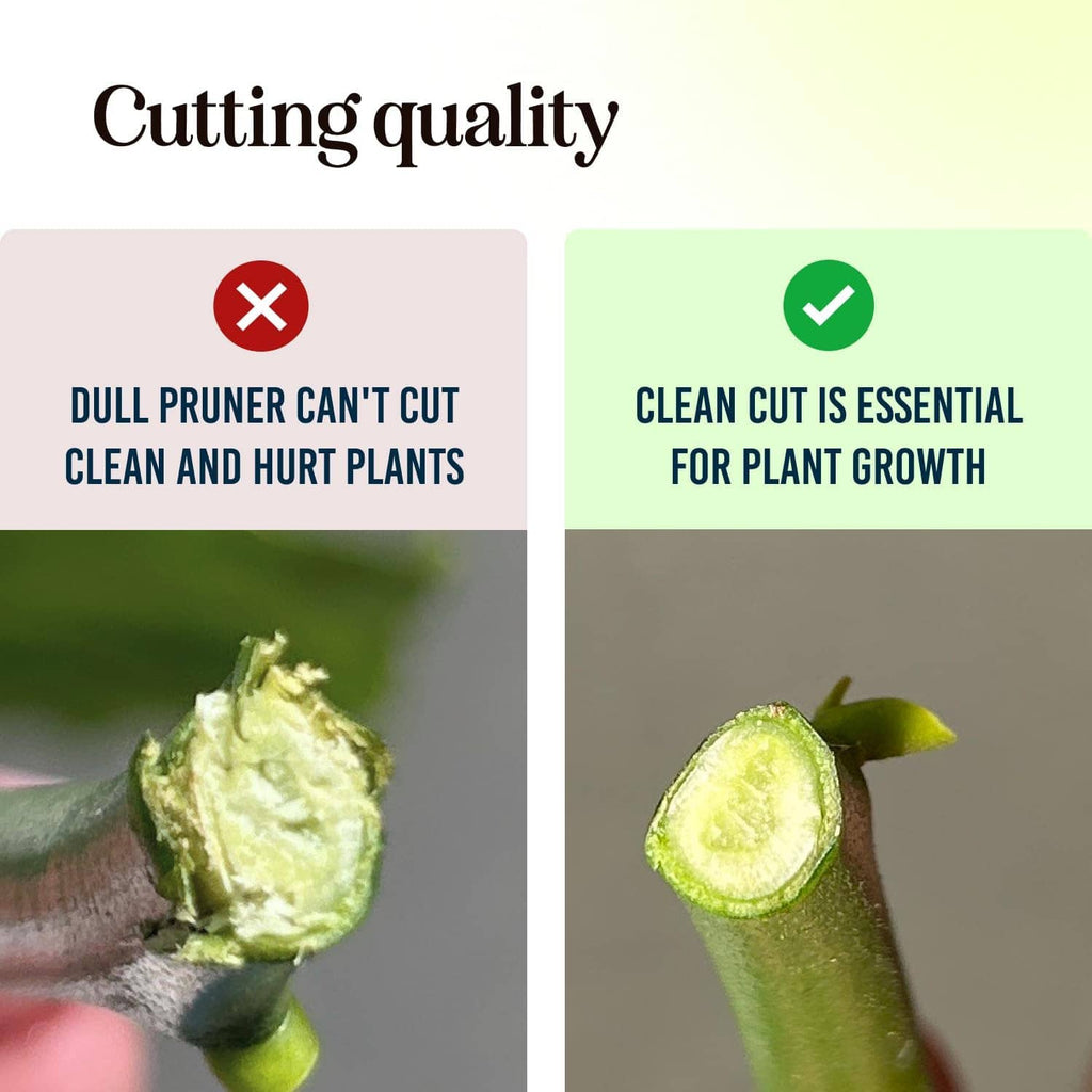 Pruning shears shown cutting a plant stem with a clean, even cut
